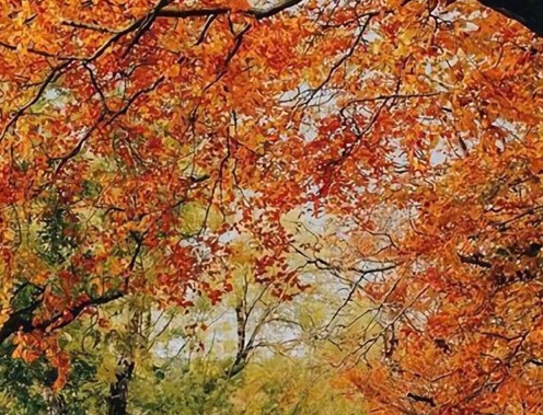 利用粉象生活赚取佣金合法吗?