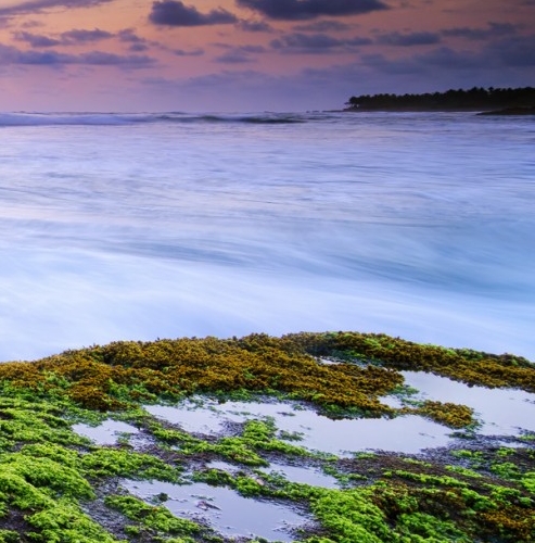 粉象生活怎么赚钱提现