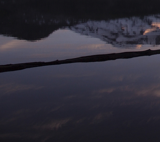 杭州粉象生活公司