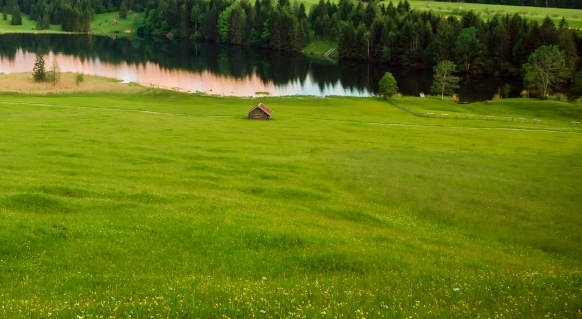 粉象生活里怎么发朋友圈