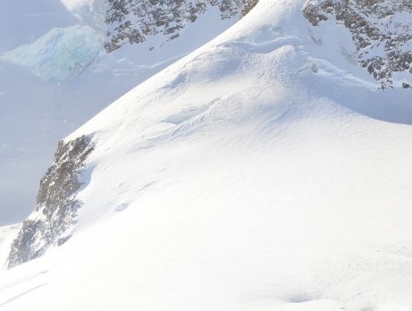 粉象生活挣钱技巧