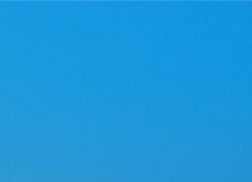 一淘和粉象生活哪个返利高