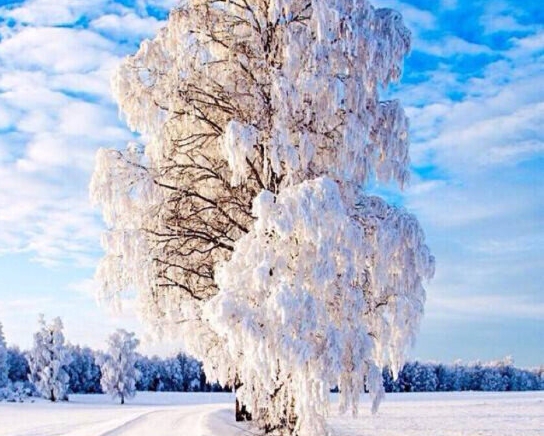 汕尾粉象生活图片