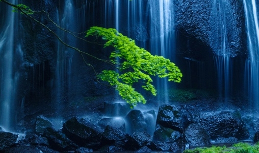 粉象生活能赚钱吗