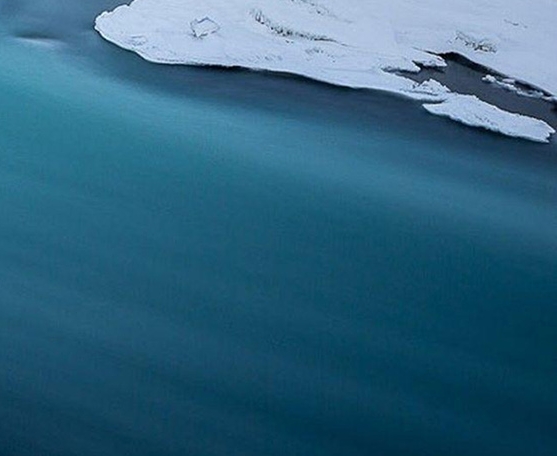 粉象生活最新推广