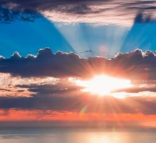 汕尾粉象生活加盟代理