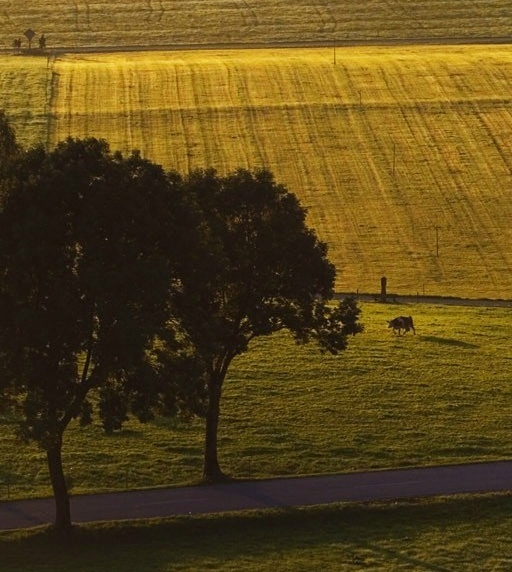 粉象生活推广引流
