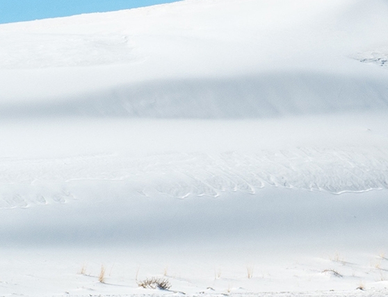 粉象生活能改邀请id吗粉象生活