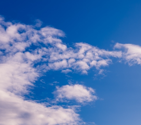 粉象生活推广图片