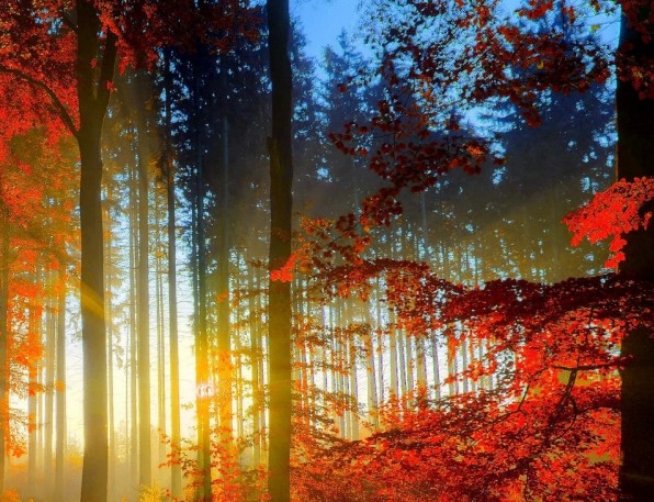 粉象生活怎么赚钱的