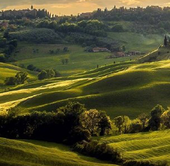 粉象生活副业赚钱