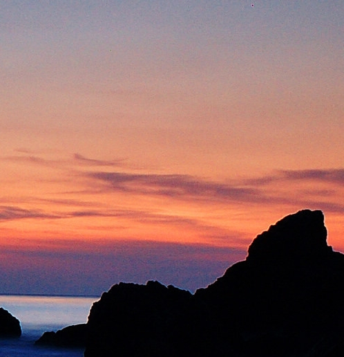 粉象生活下载app