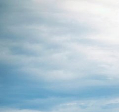 粉象生活真实图片