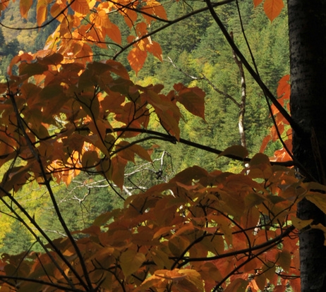 深圳粉象生活可信吗