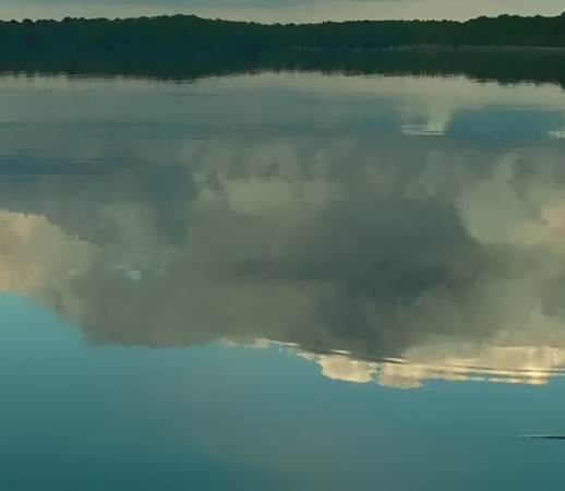 辽宁句美象娱乐