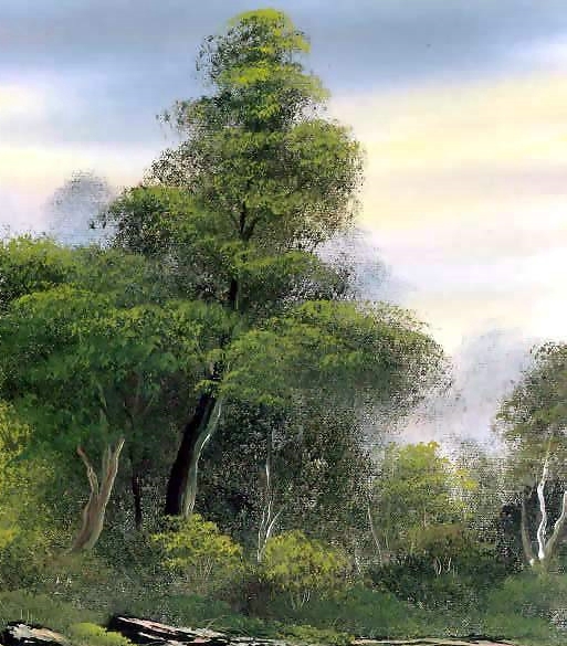 粉象生活下载app