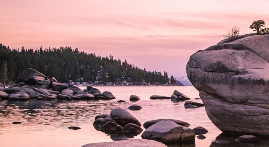 鞍山粉象生活加盟
