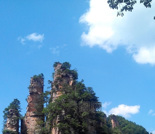 粉象生活是什么样的平台