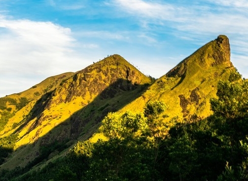 粉象生活哪里开店