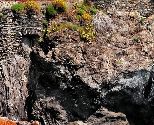 粉象生活推广规则