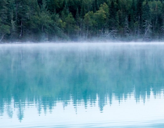 粉象生活是什么样的平台