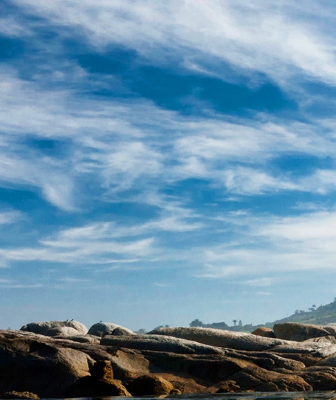 粉象生活分享后怎么没有佣金