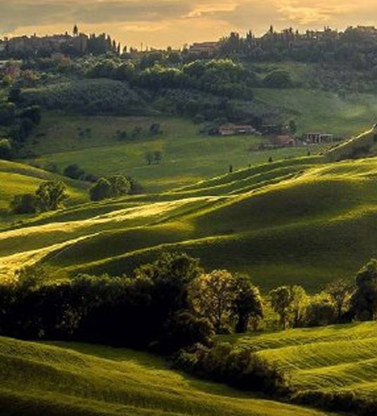 阳泉粉象生活vip