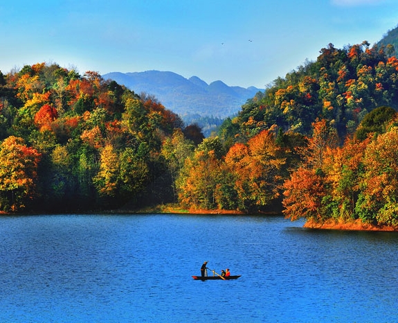 兔喜生活怎么加盟开店