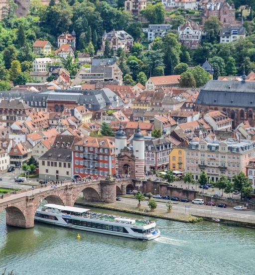 真正的粉象生活