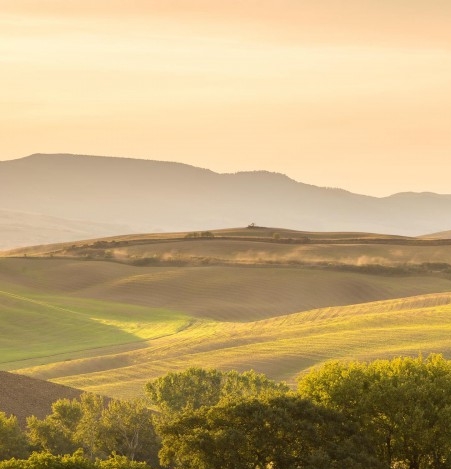 理肤印象加盟费