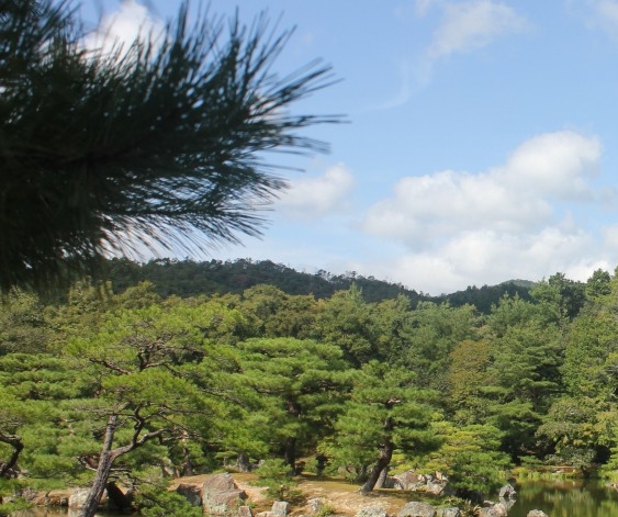 粉象生活下载app