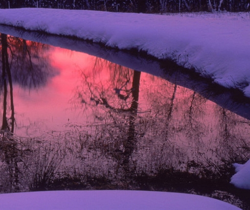 湖北正规粉象生活官网