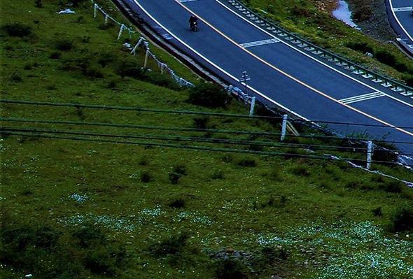 粉象生活邀请码