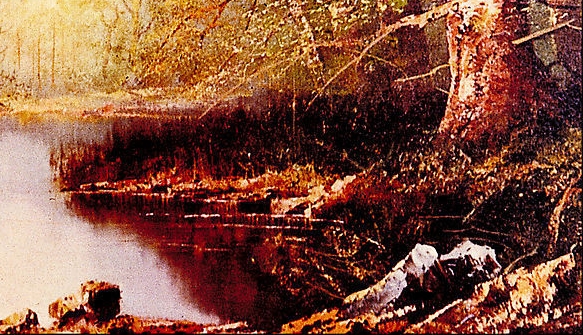 粉象生活线上引流是什么