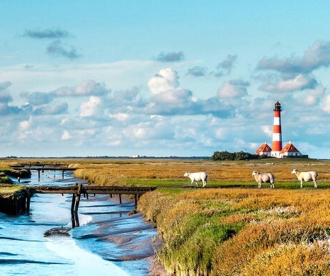 粉象生活赚钱教程