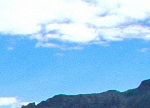 汕尾粉象生活怎么样