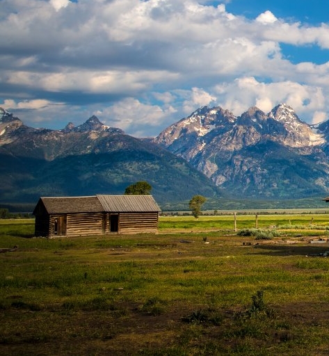 官方粉象生活加盟