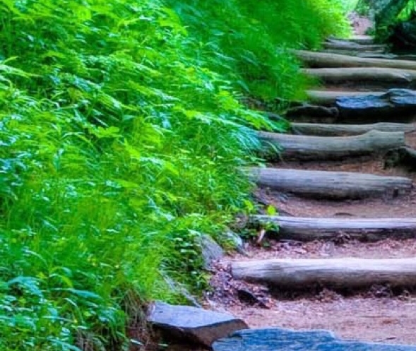 有没有做粉象生活不成功的