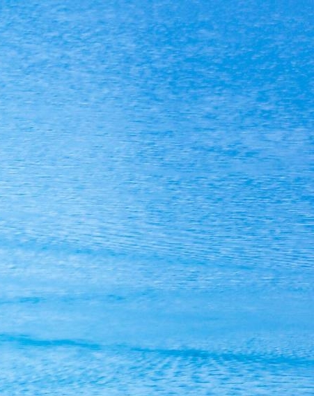 粉象生活极速版