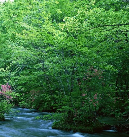 韶关粉象生活赚钱