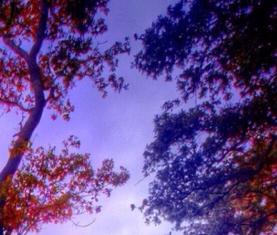 吉林高端粉象生活邀请人