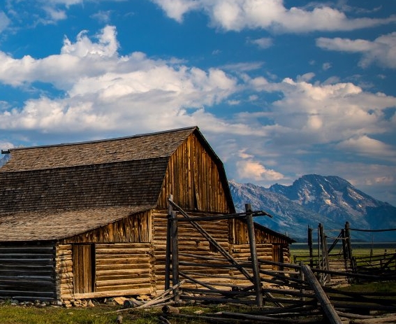 合肥粉象生活群
