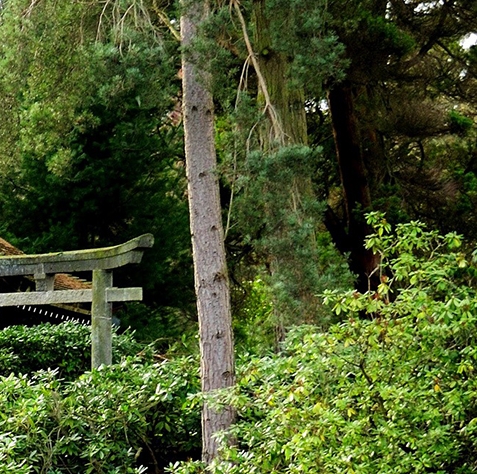 云浮粉象生活佣金