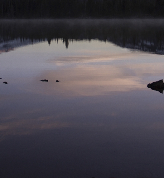 粉象生活可以赚钱吗