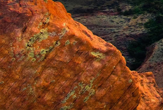 深圳粉象生活注册