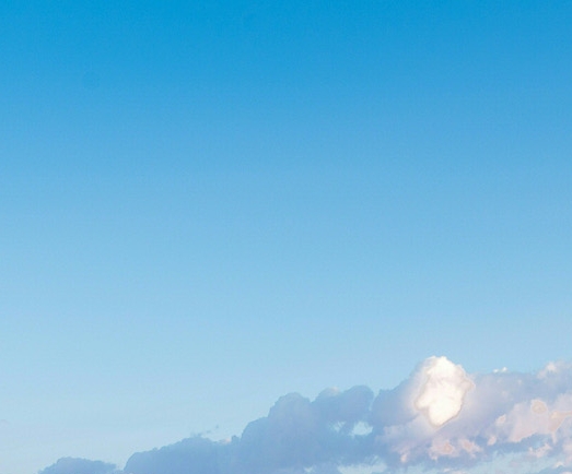 粉象生活怎么赚取佣金