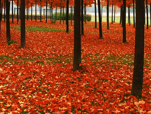 什么品牌为吉林烟草工业生命品牌