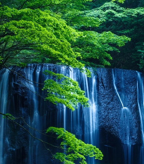 粉象生活怎么赚钱