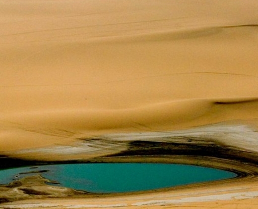 粉象生活日推广50人