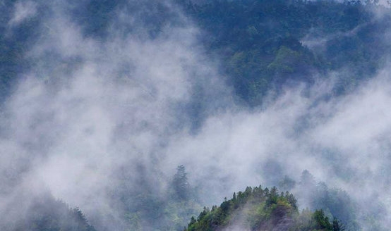 粉象生活邀请码